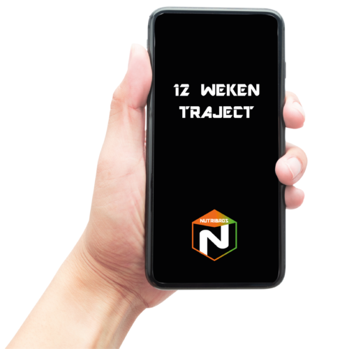 12 weken traject